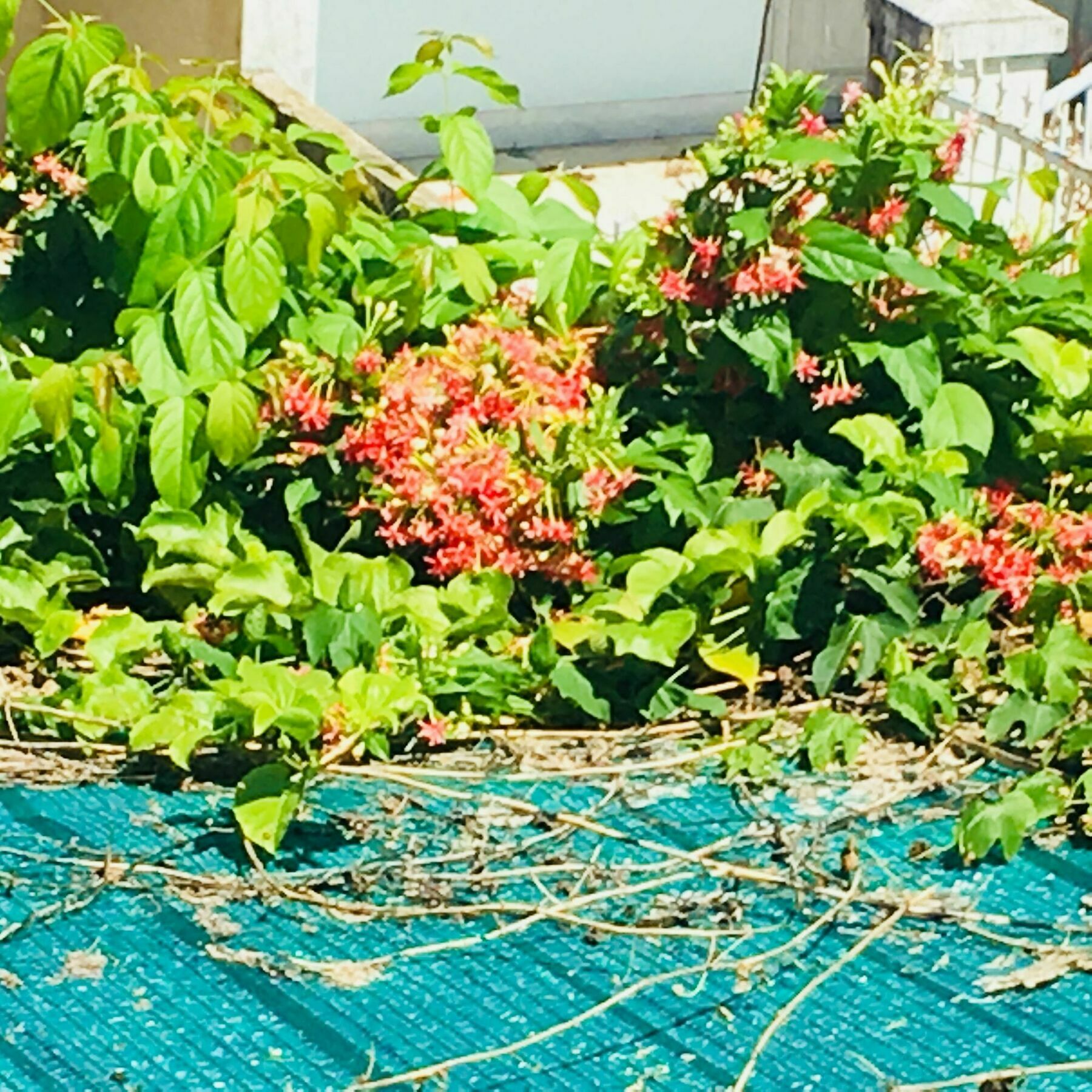 Nha Minh Homestay Da Nang Bagian luar foto